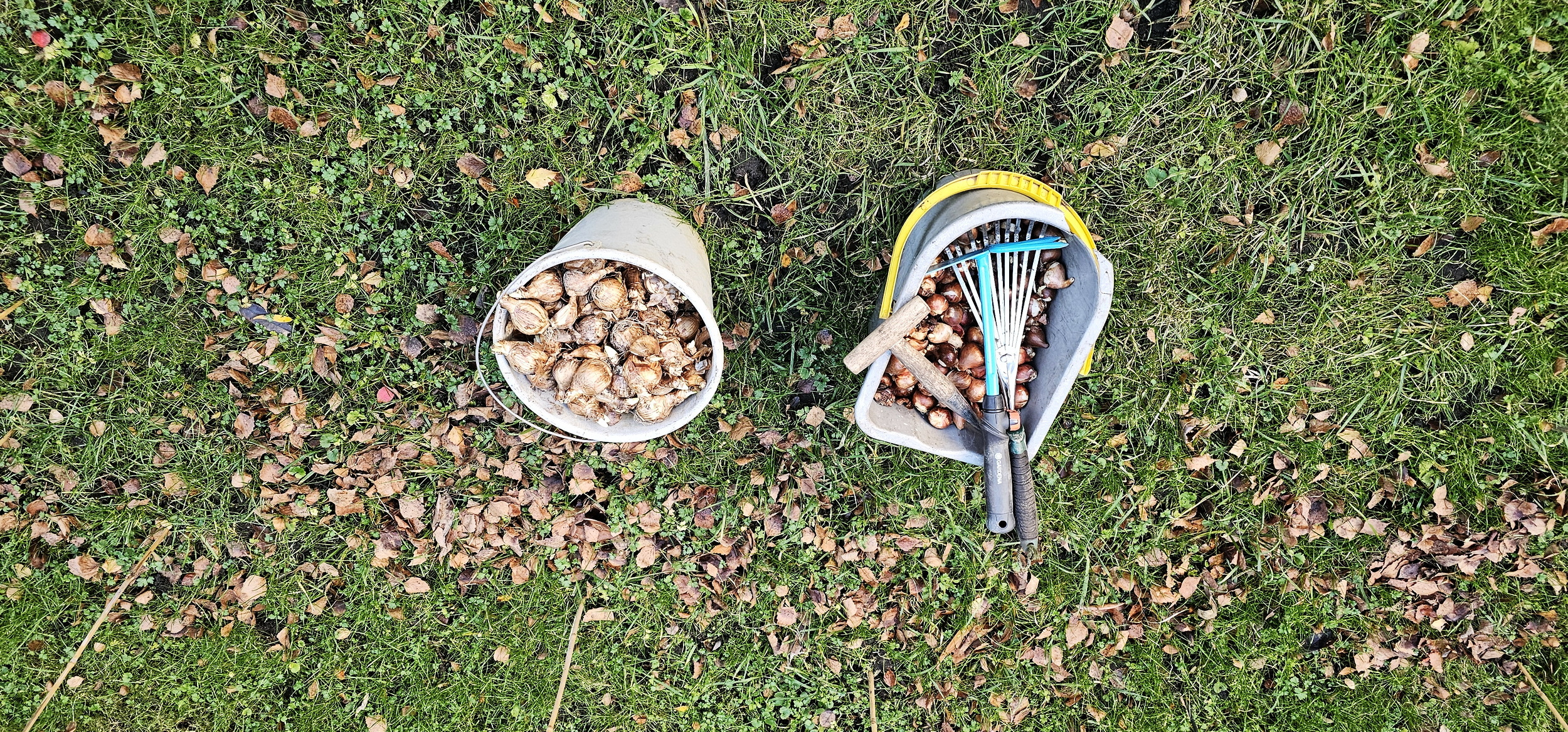 narcotix journal  background image