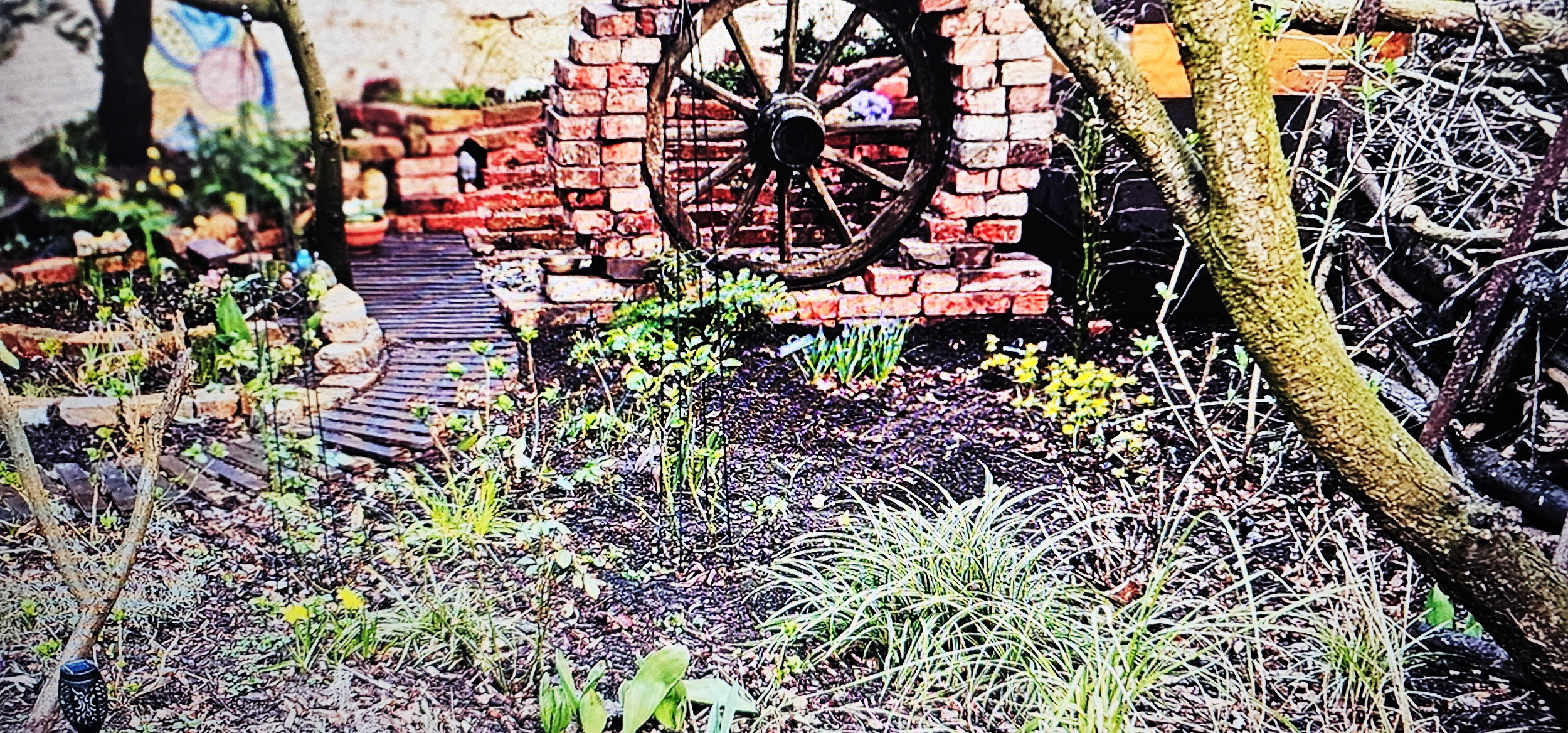 narcotix journal  background image