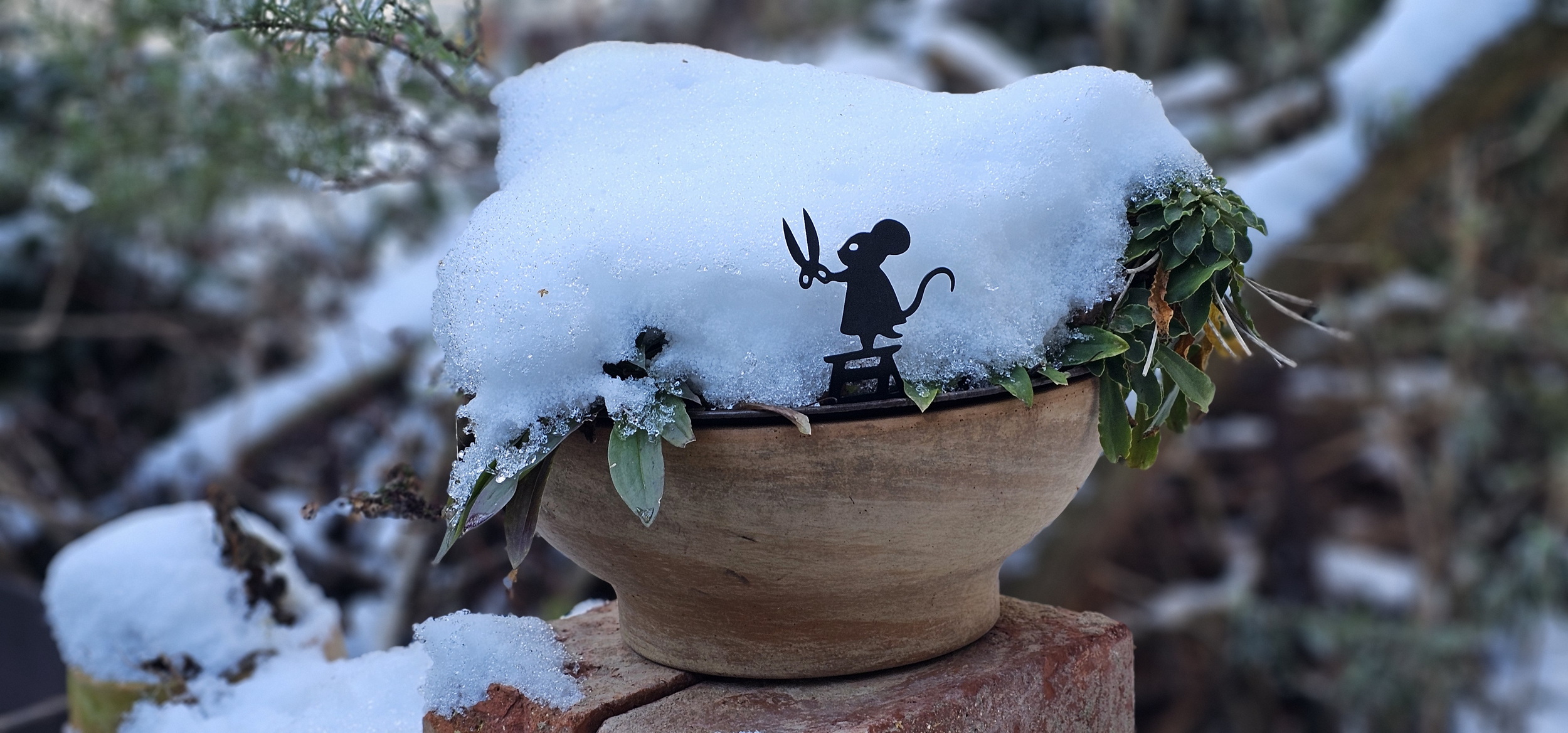 narcotix journal  background image