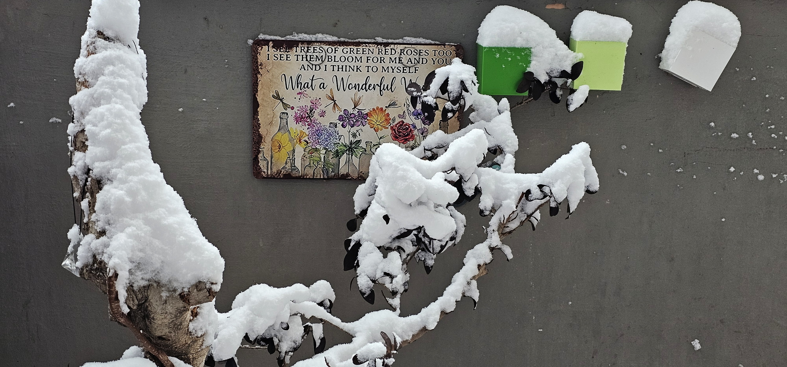 narcotix journal  background image