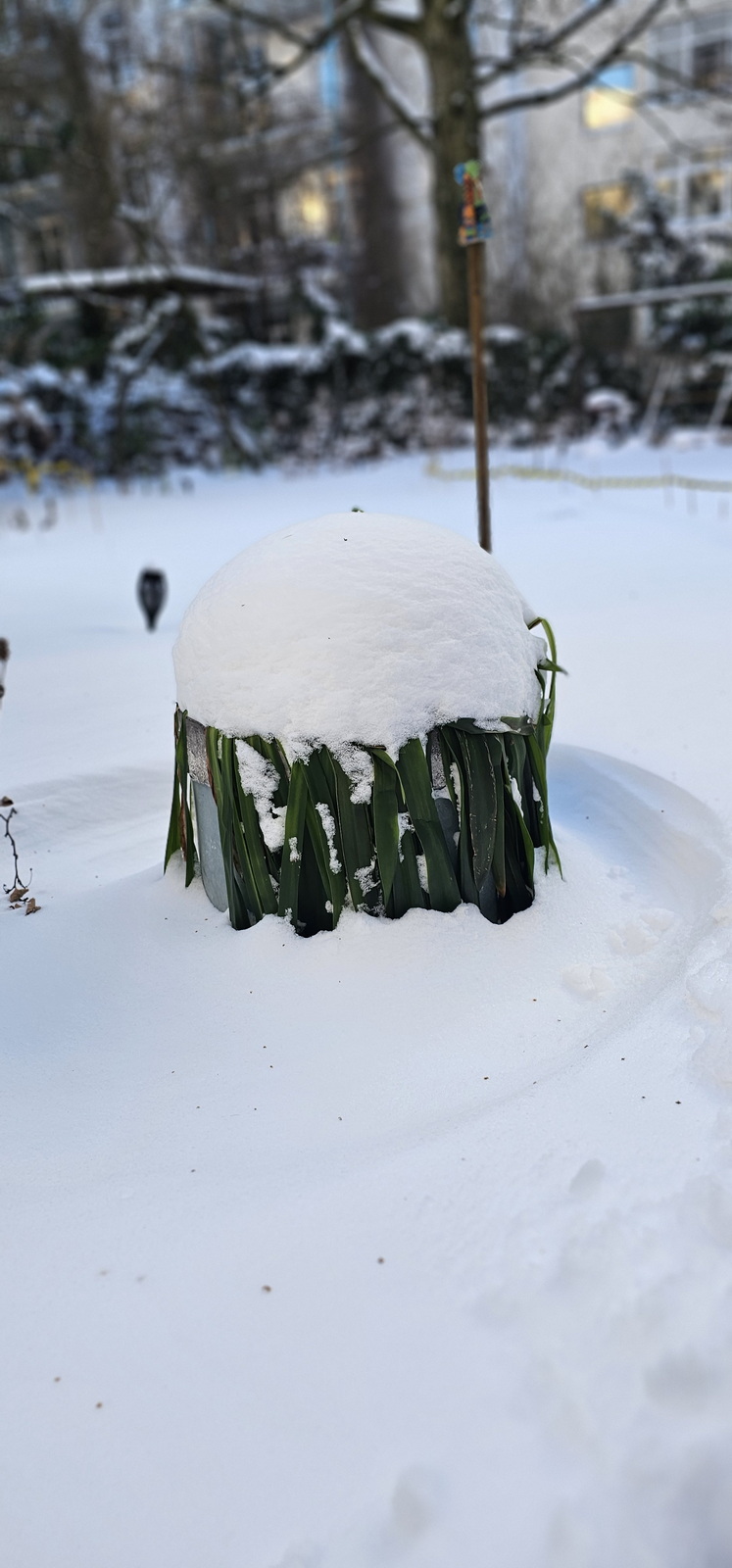 narcotix journal  background image