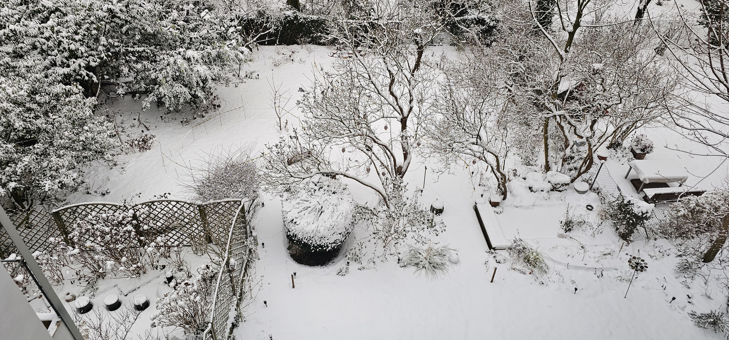 narcotix journal  background image