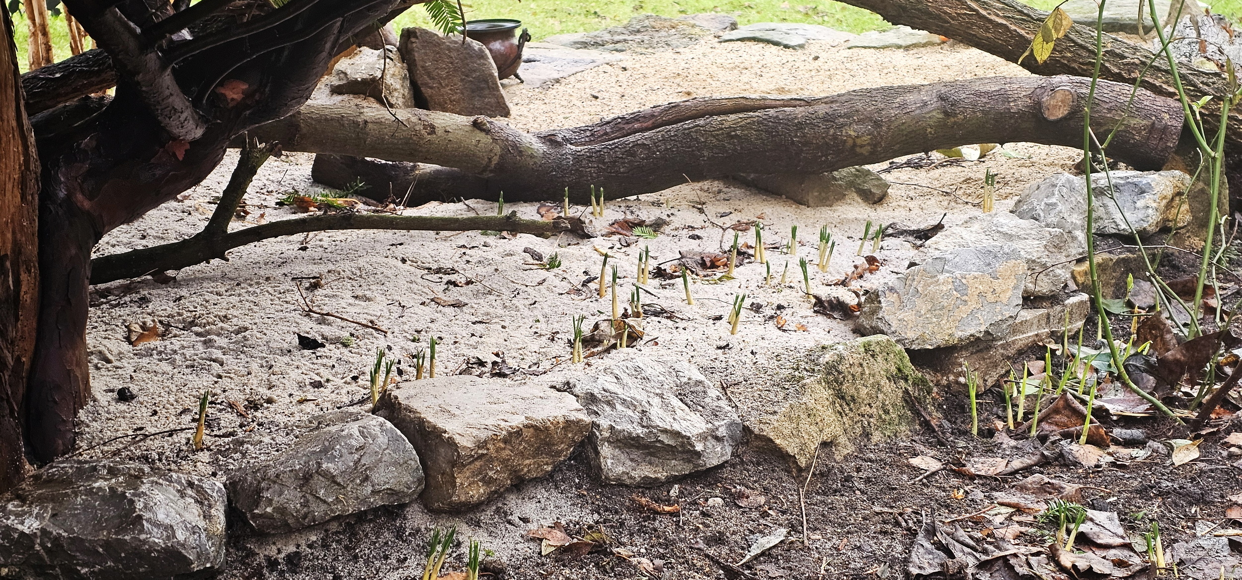 narcotix - journal background image