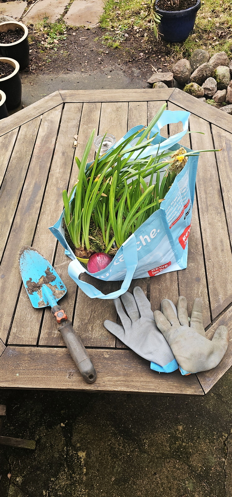 narcotix - journal background image