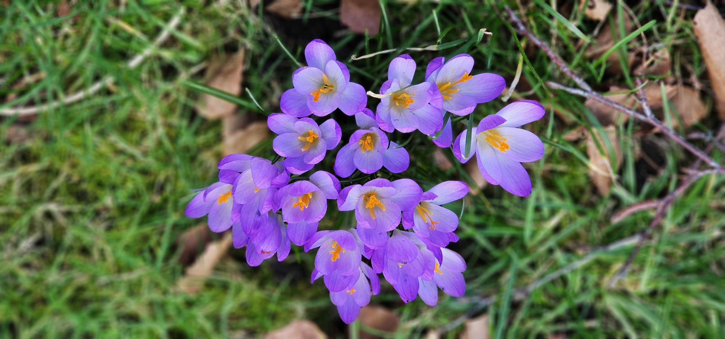 narcotix - journal background image