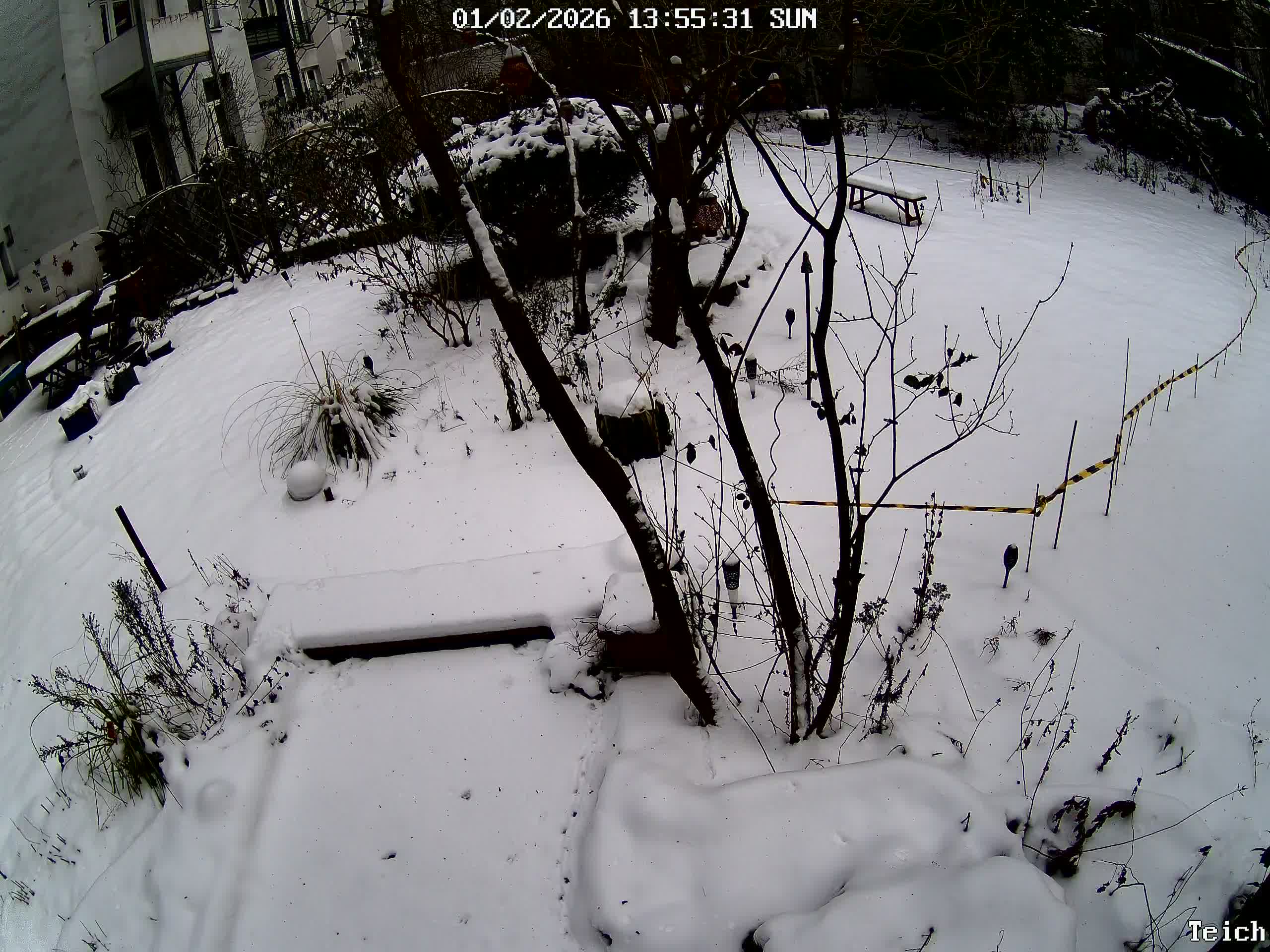 narcotix - journal background image