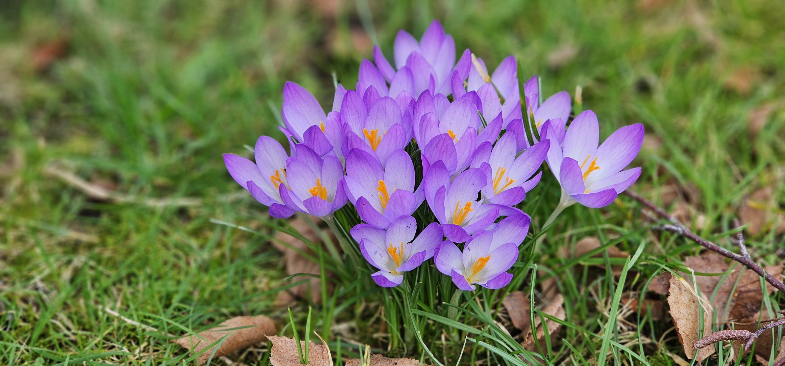 narcotix - journal background image