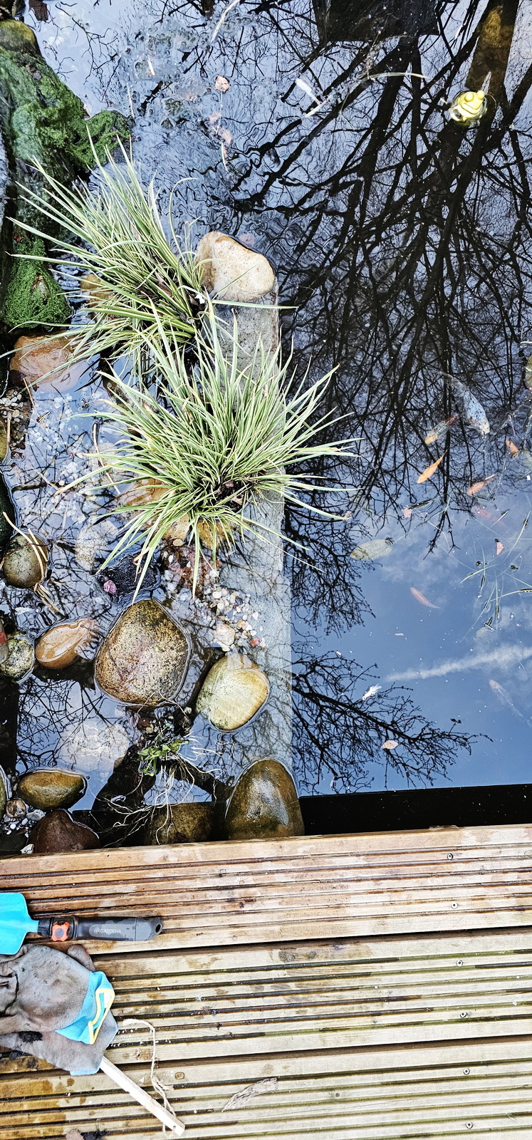 narcotix - journal background image