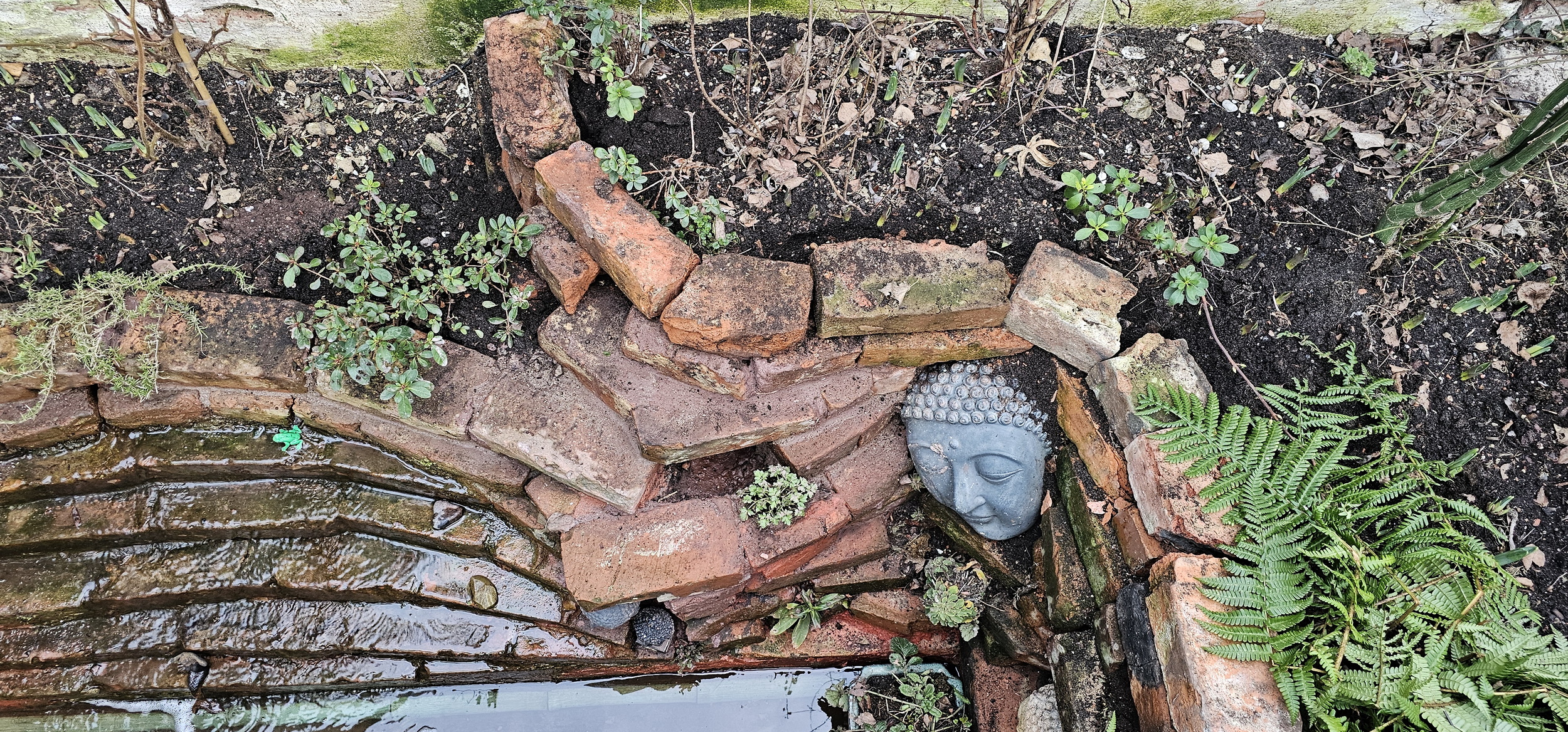 narcotix - journal background image