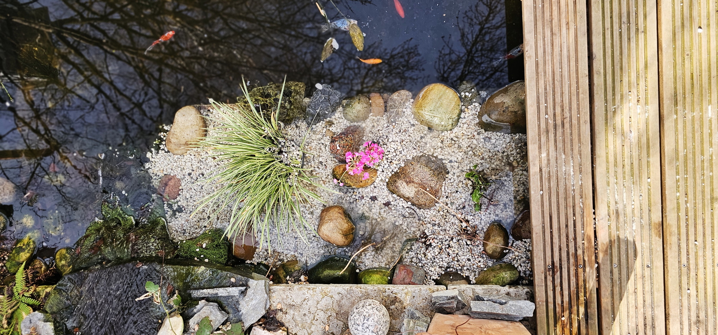 narcotix - journal background image