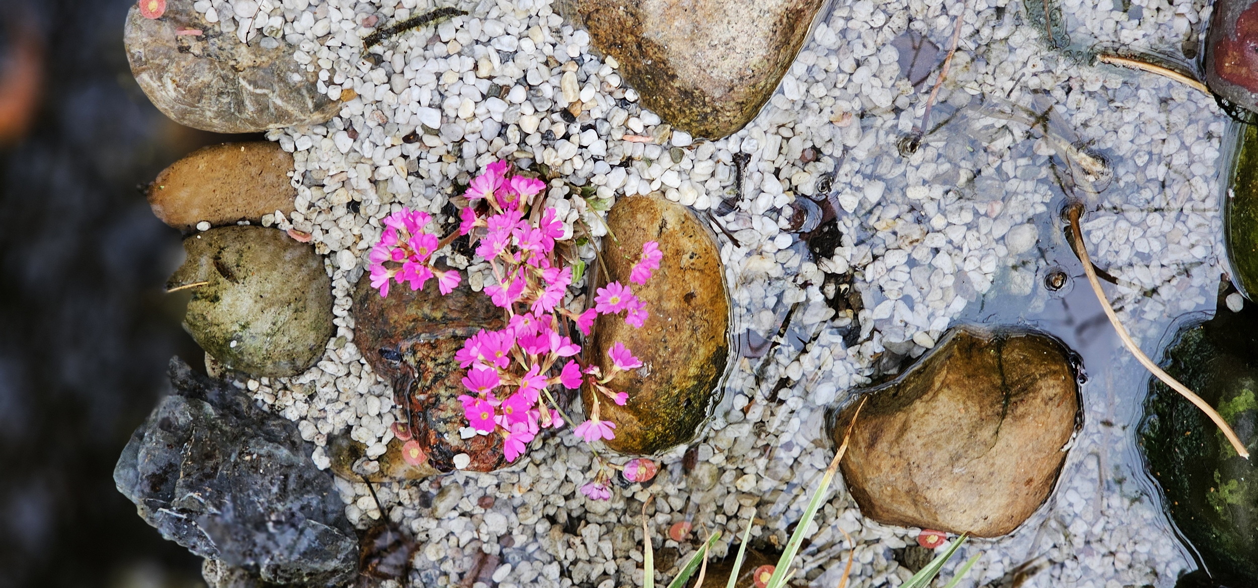 narcotix - journal background image