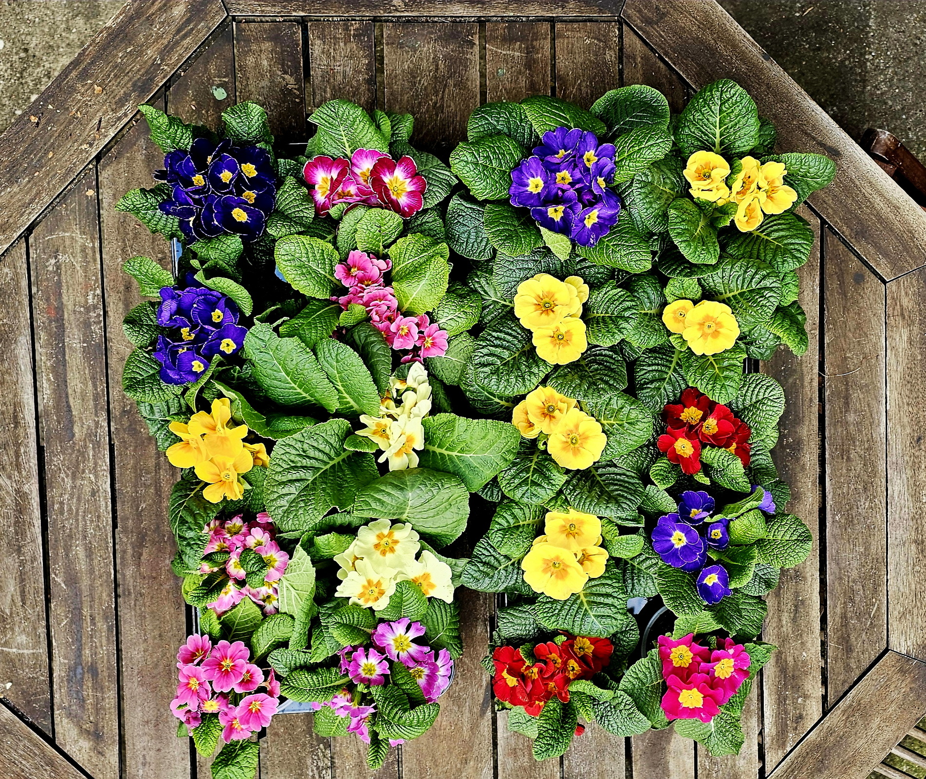 narcotix - journal background image