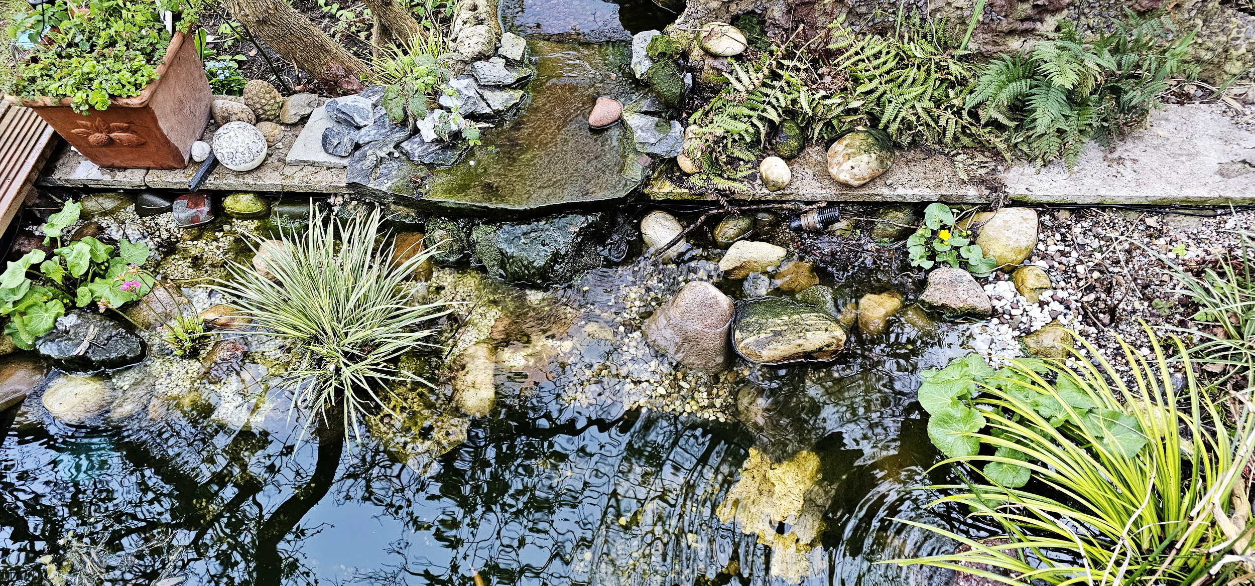 narcotix - journal background image