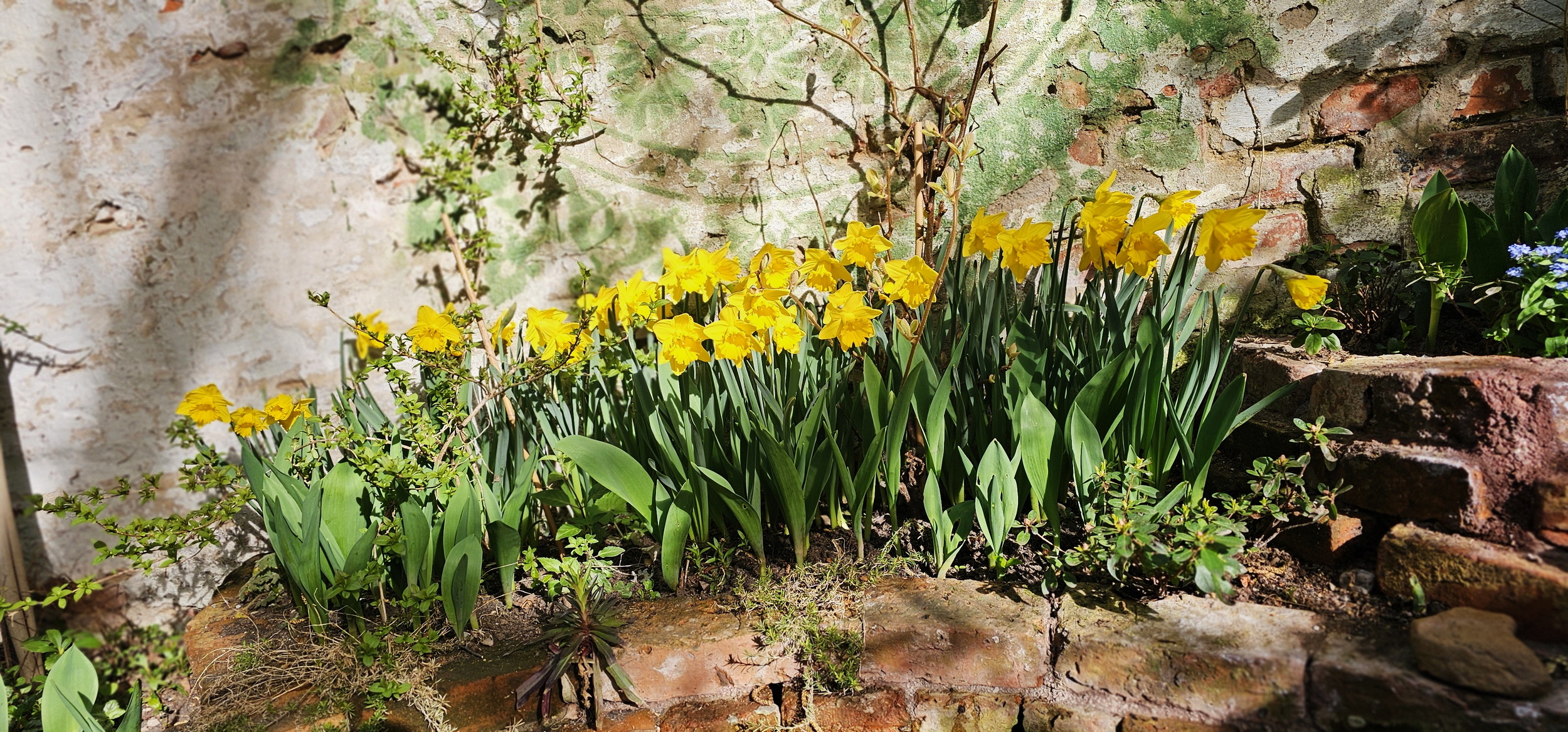 narcotix - journal background image