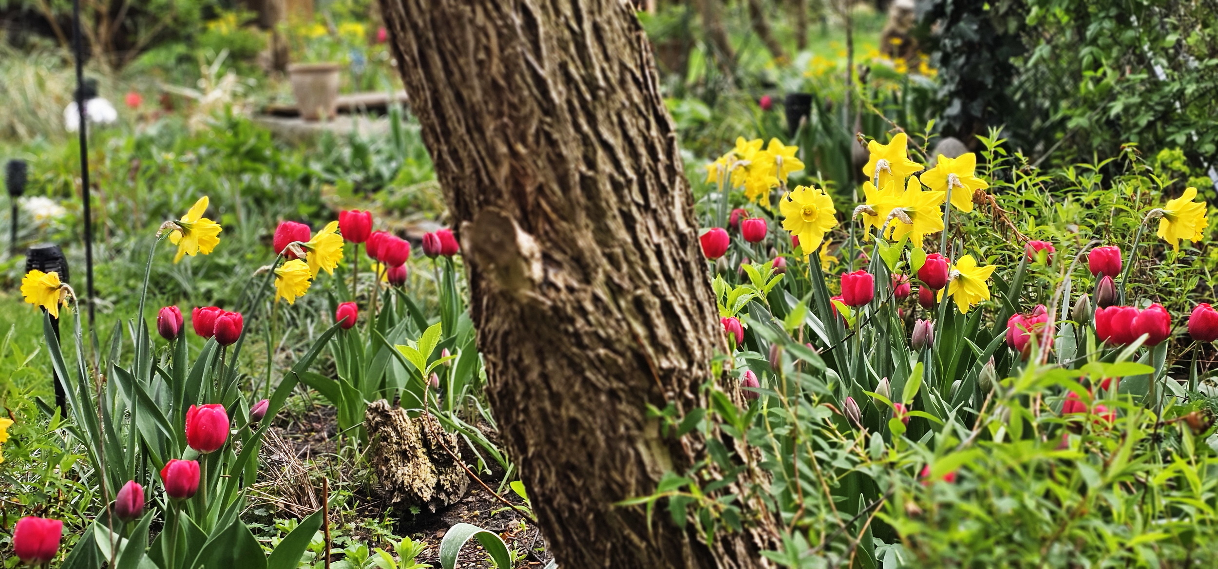 narcotix - journal background image