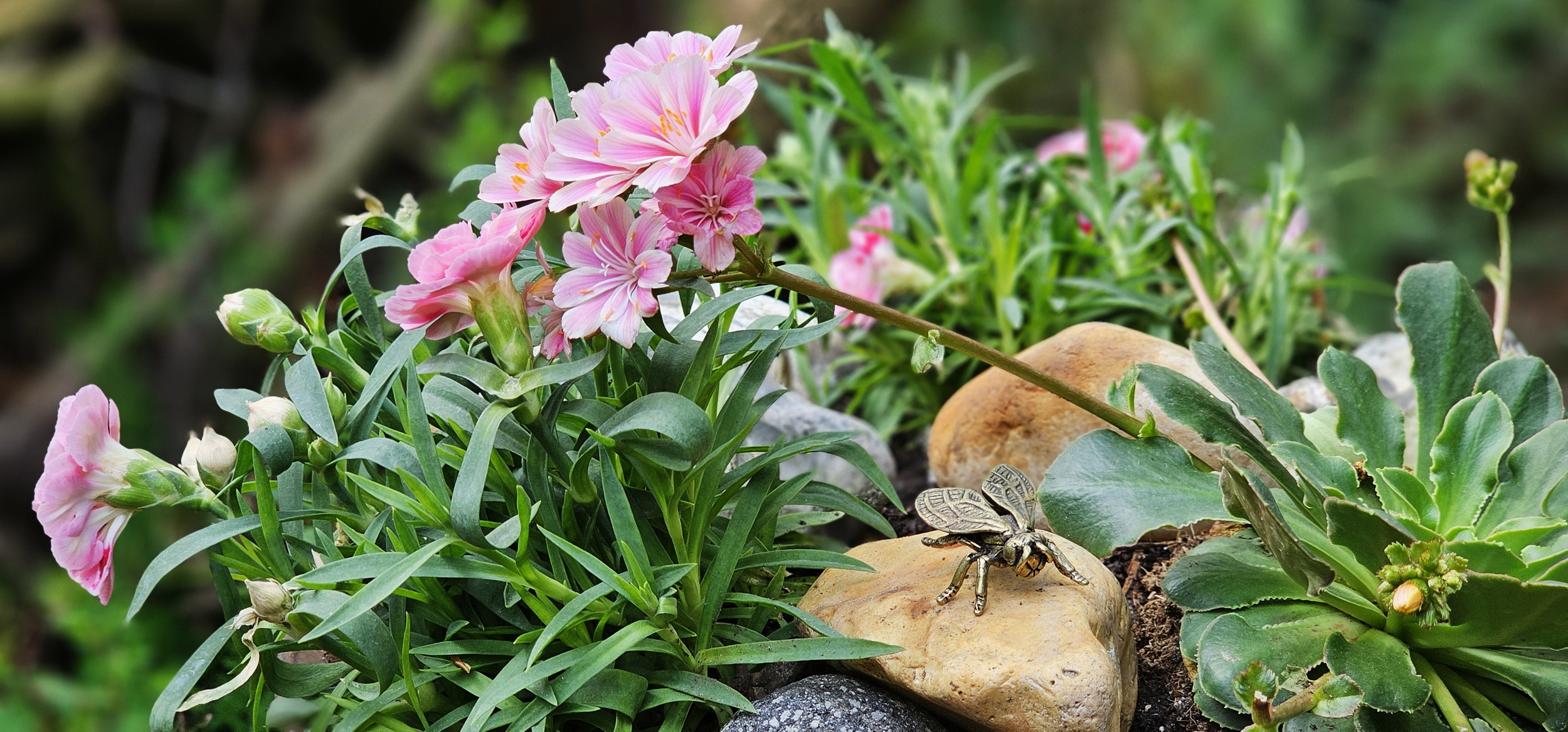 narcotix - journal background image