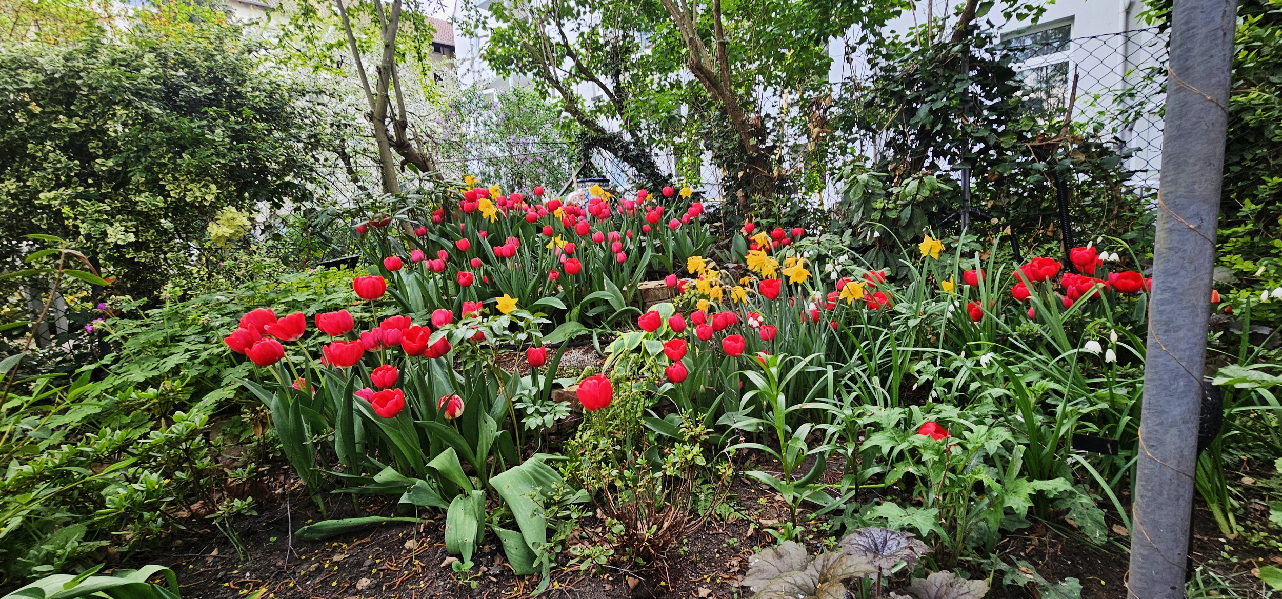 narcotix - journal background image