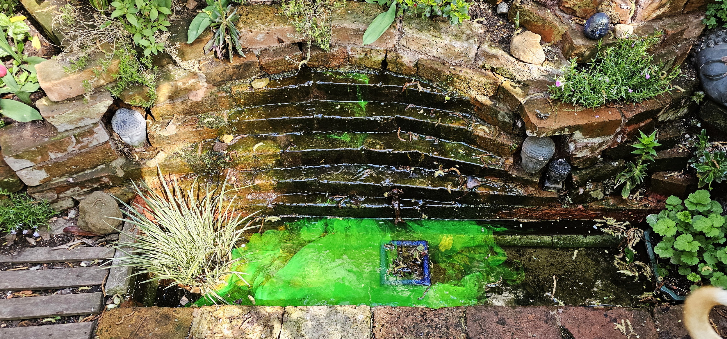 narcotix - journal background image