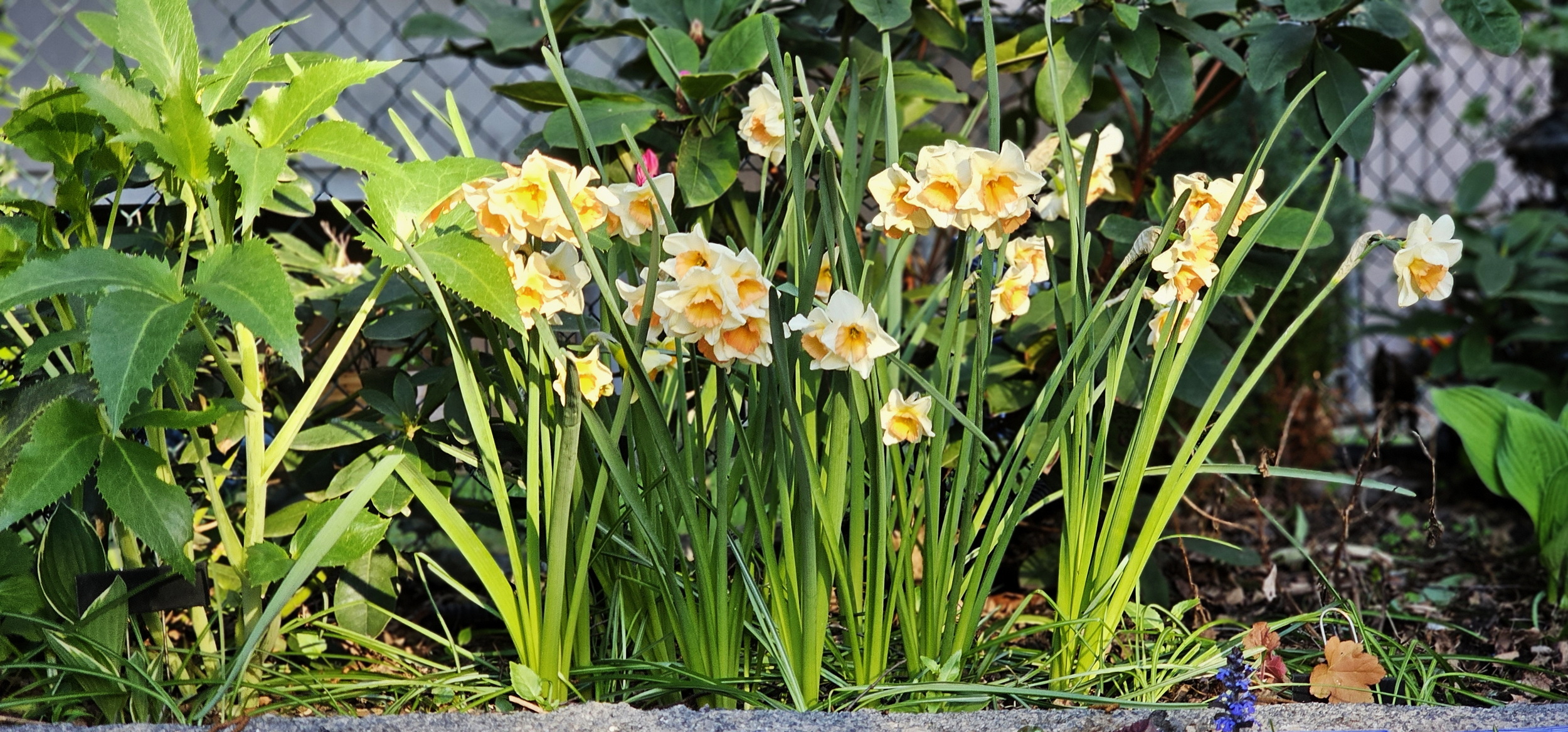 narcotix - journal background image